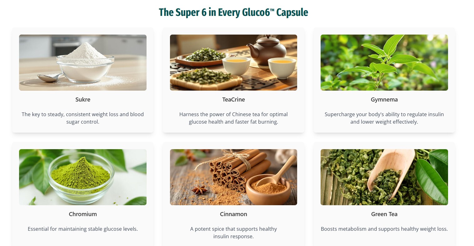 The Super 6 Gluco6 Ingredients – Sukre, TeaCrine, Gymnema, Chromium, Cinnamon, Green Tea